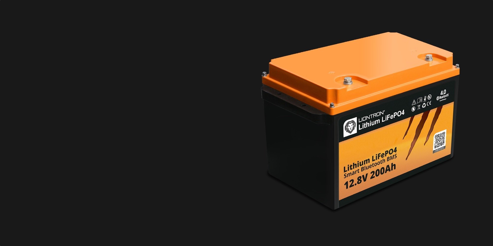Liontron LiFePO4 Batterie 12V mit 200Ah fürs Wohnmobil
