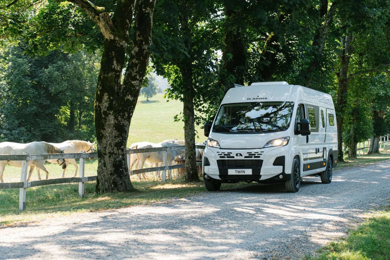 Adria Twin Select 2027 - weißer Campervan in der Front-Seitenansicht auf einer von Bäumen gesäumten Schotterallee